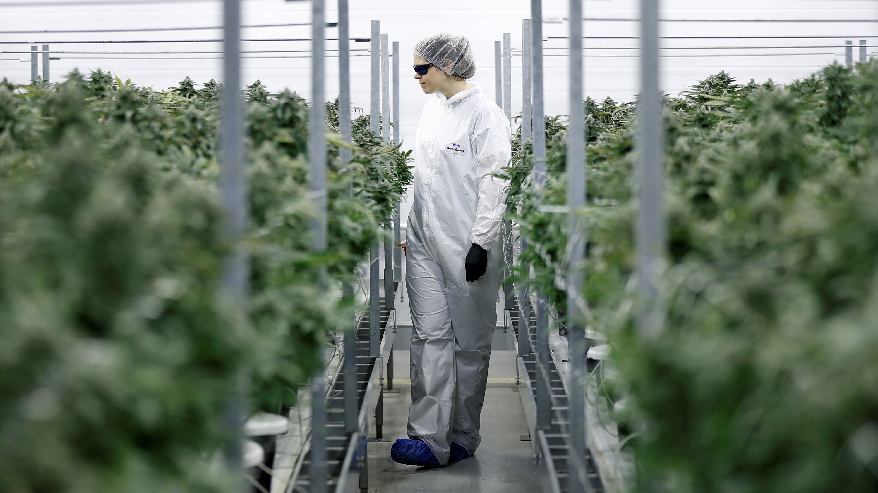 Canopy Growth