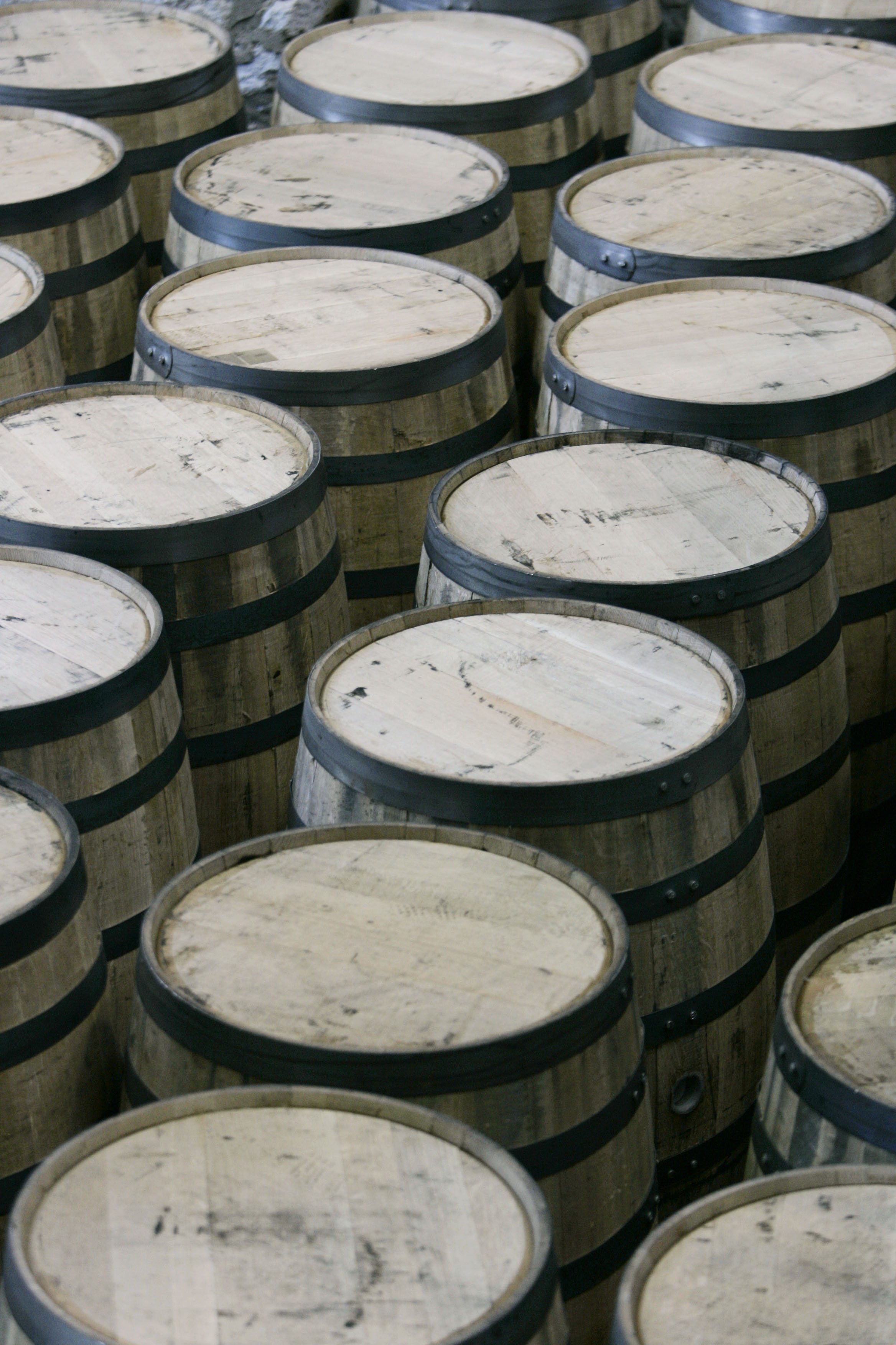 Travel Trip Kentucky Bourbon Trail