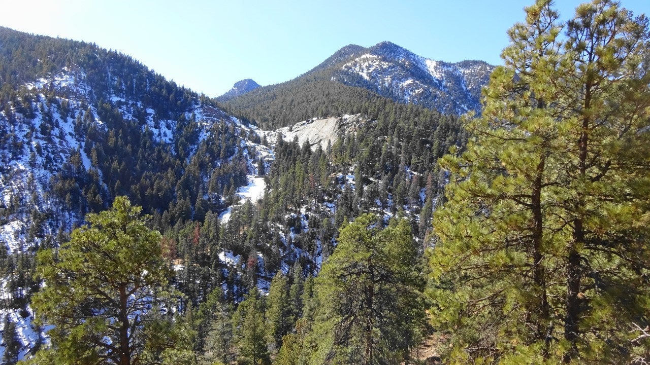 Upper Columbine Trail