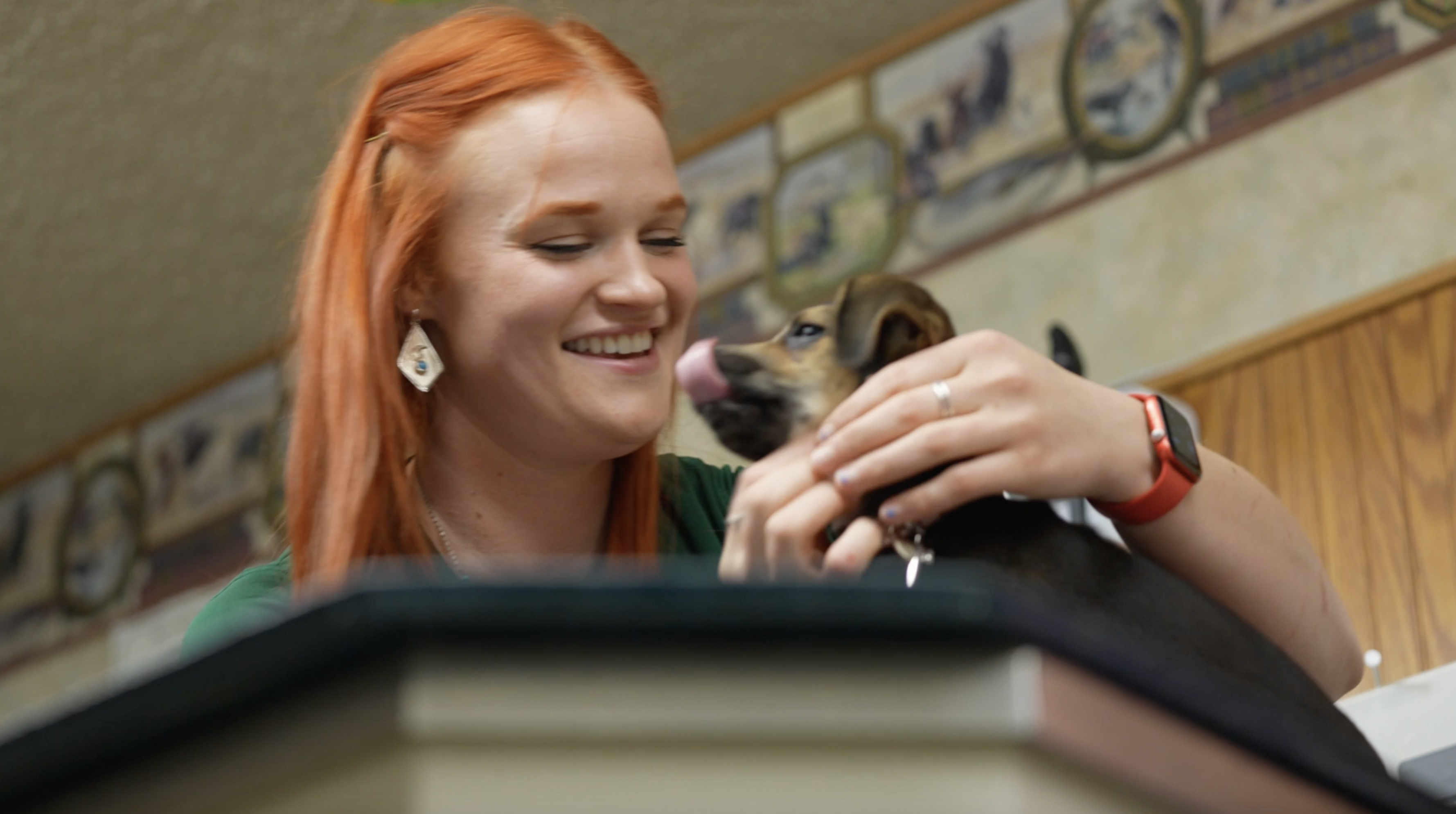 rural veterinarian shortage solutions