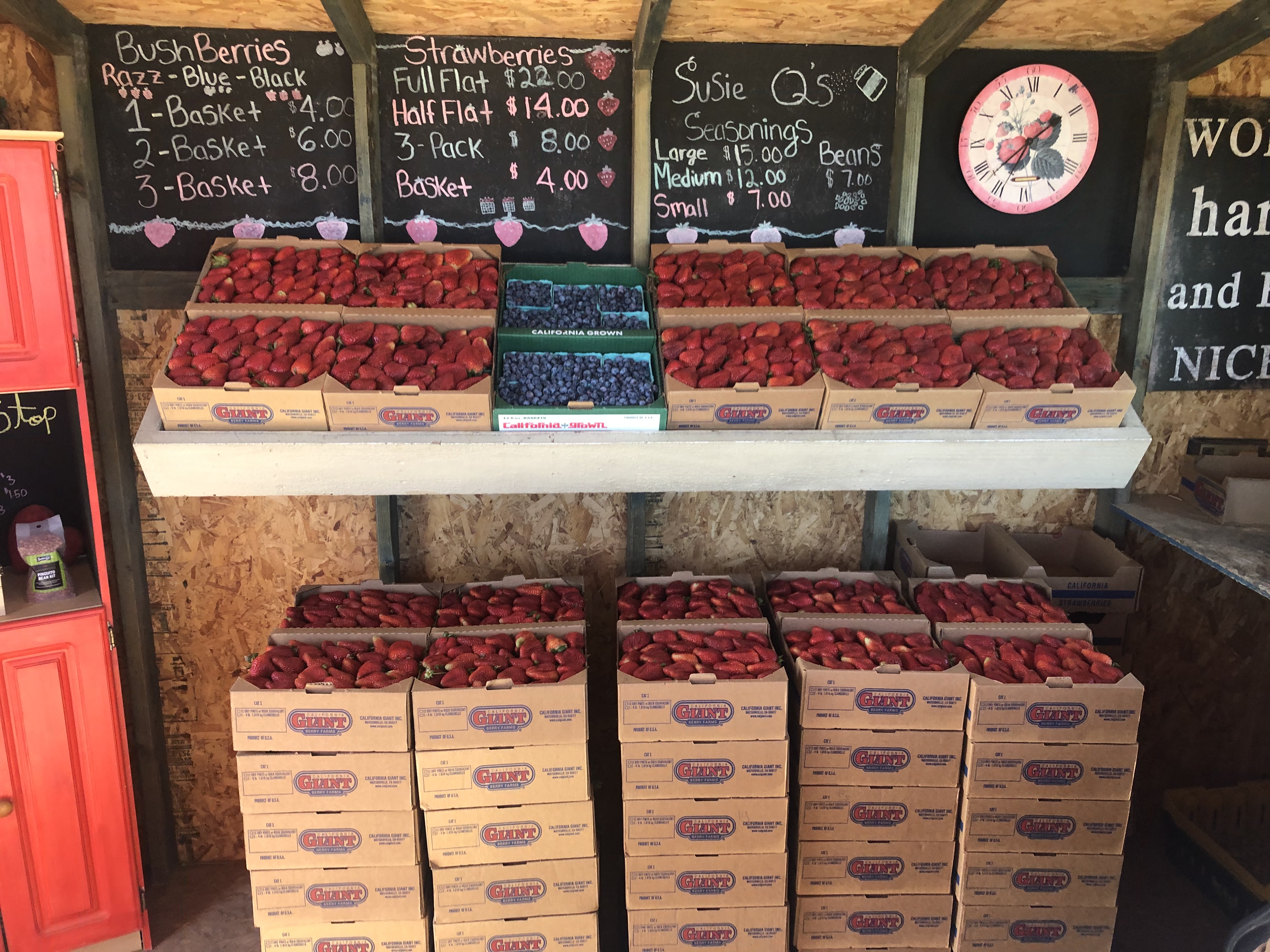 strawberry stand berry stop santa maria.jpg