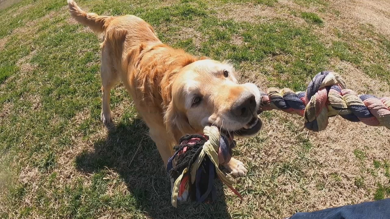 Cooper