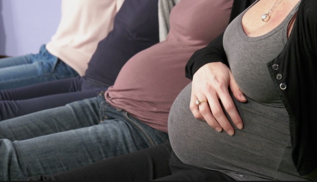 pregnant women-pregnancy.png