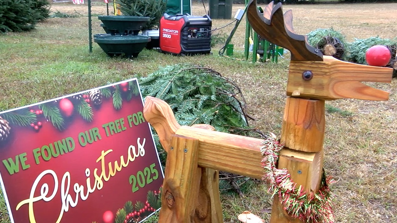 Exterior from the Vet Team Six tree lot