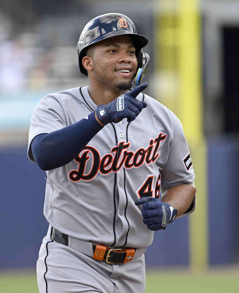 Tigers Rays Baseball