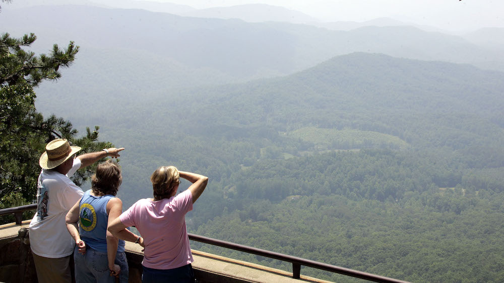 Group to livestream Great Smoky National Park's famous synchronous fireflies on Monday