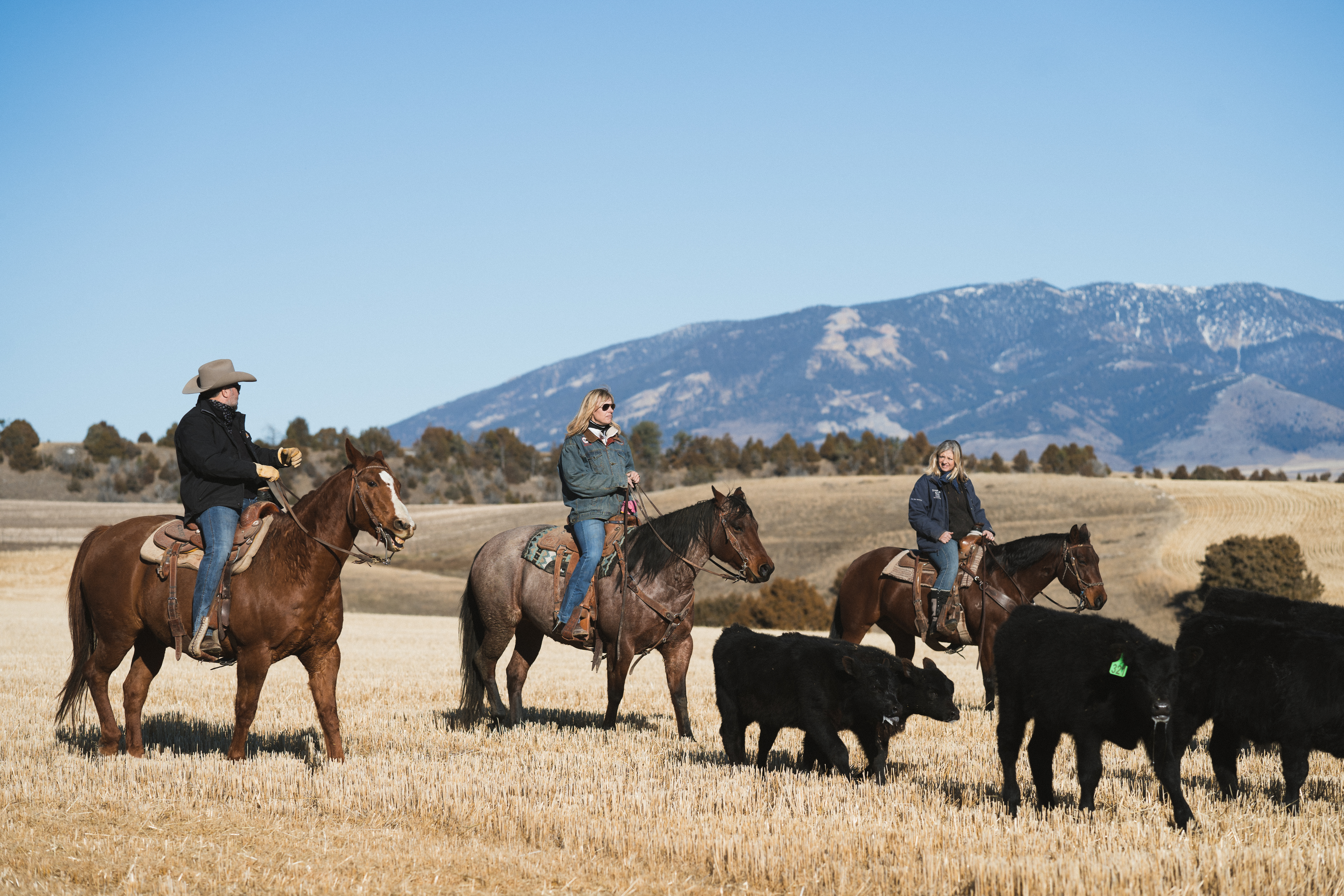 Montana Fish, Wildlife and Parks