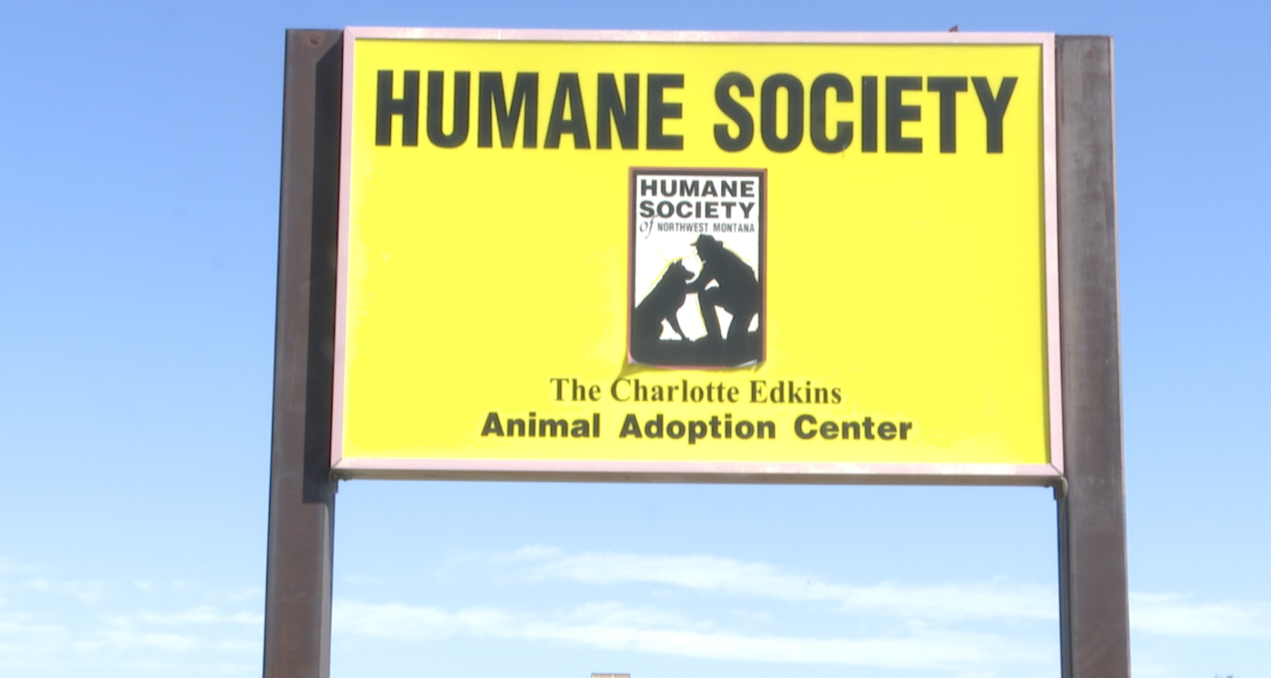 Abbie Shelter and Humane Society of Northwest Montana collaborate