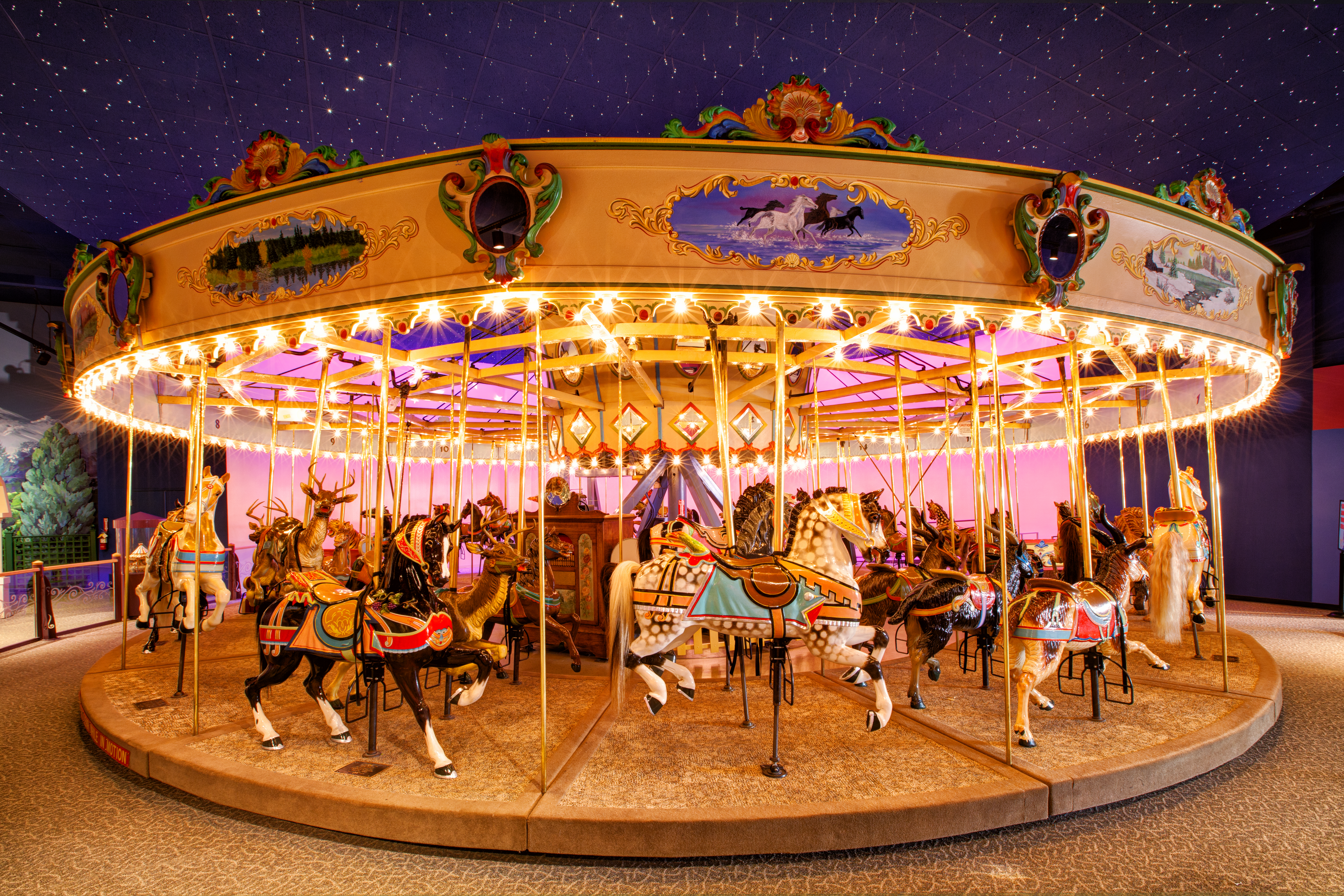 Exhibits_Carl Van Rooy_Carousel_2012.png