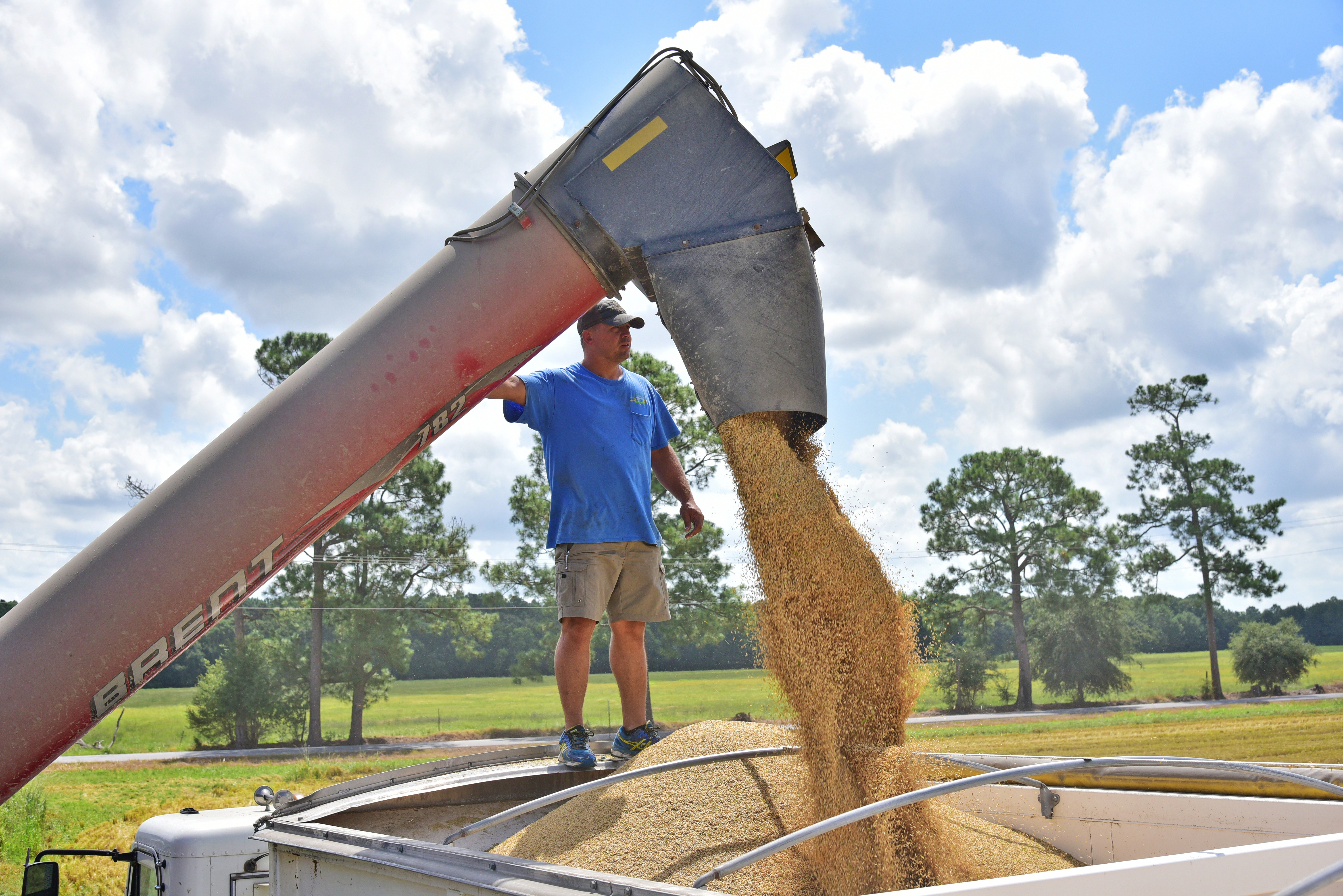 Mike Fruge with his harvested ricejpg.jpg
