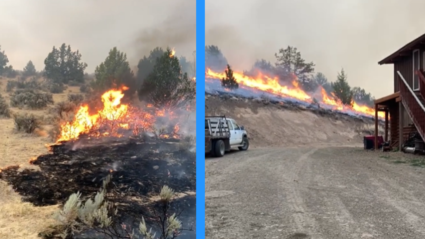 big grass fire.png