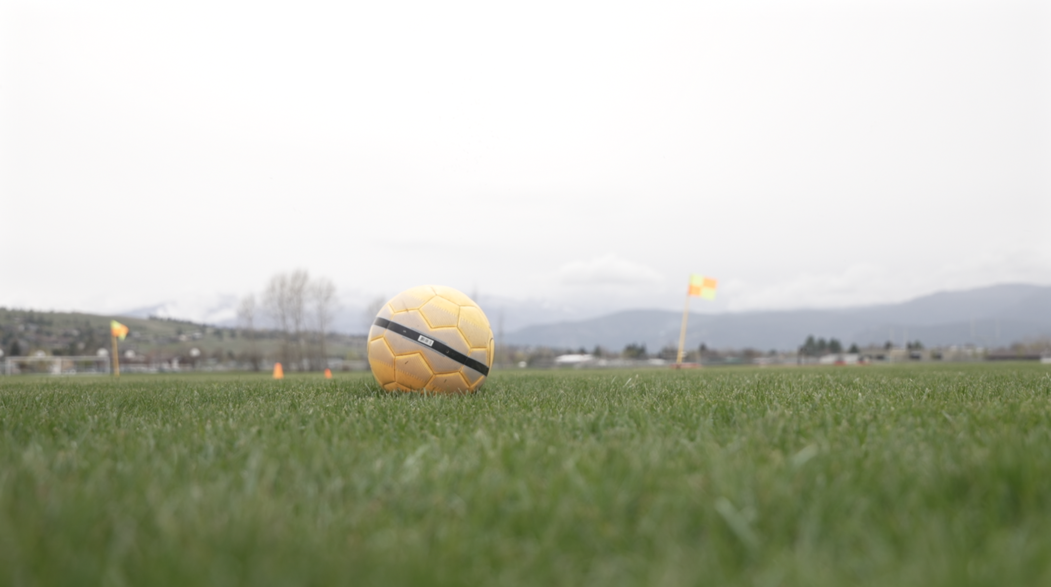 Referee Clinic