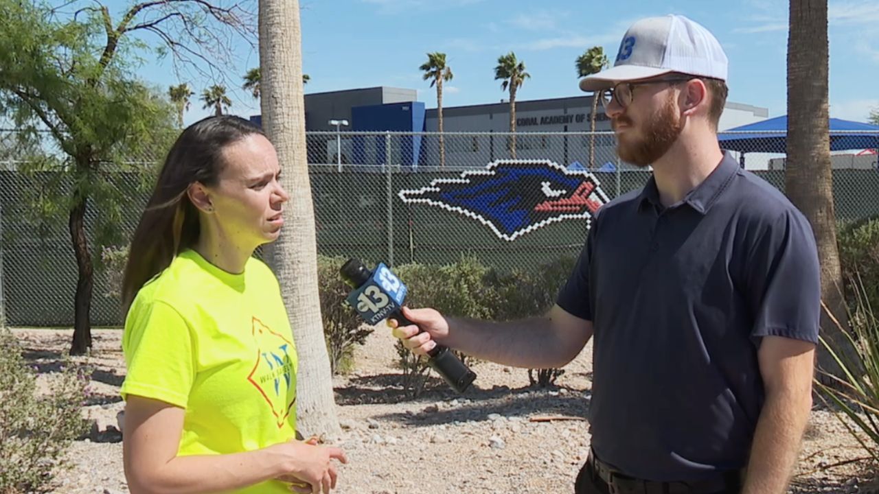 Coral Academy concerns 