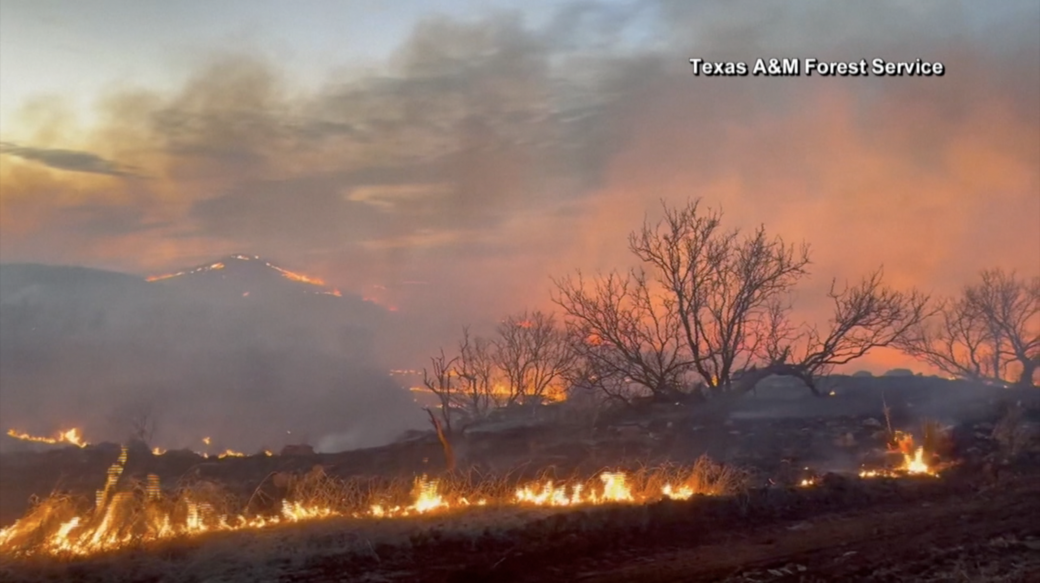 Texas wildfires 