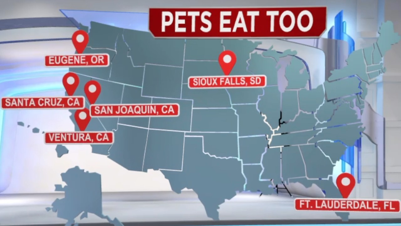 PetsEatToo.jpg
