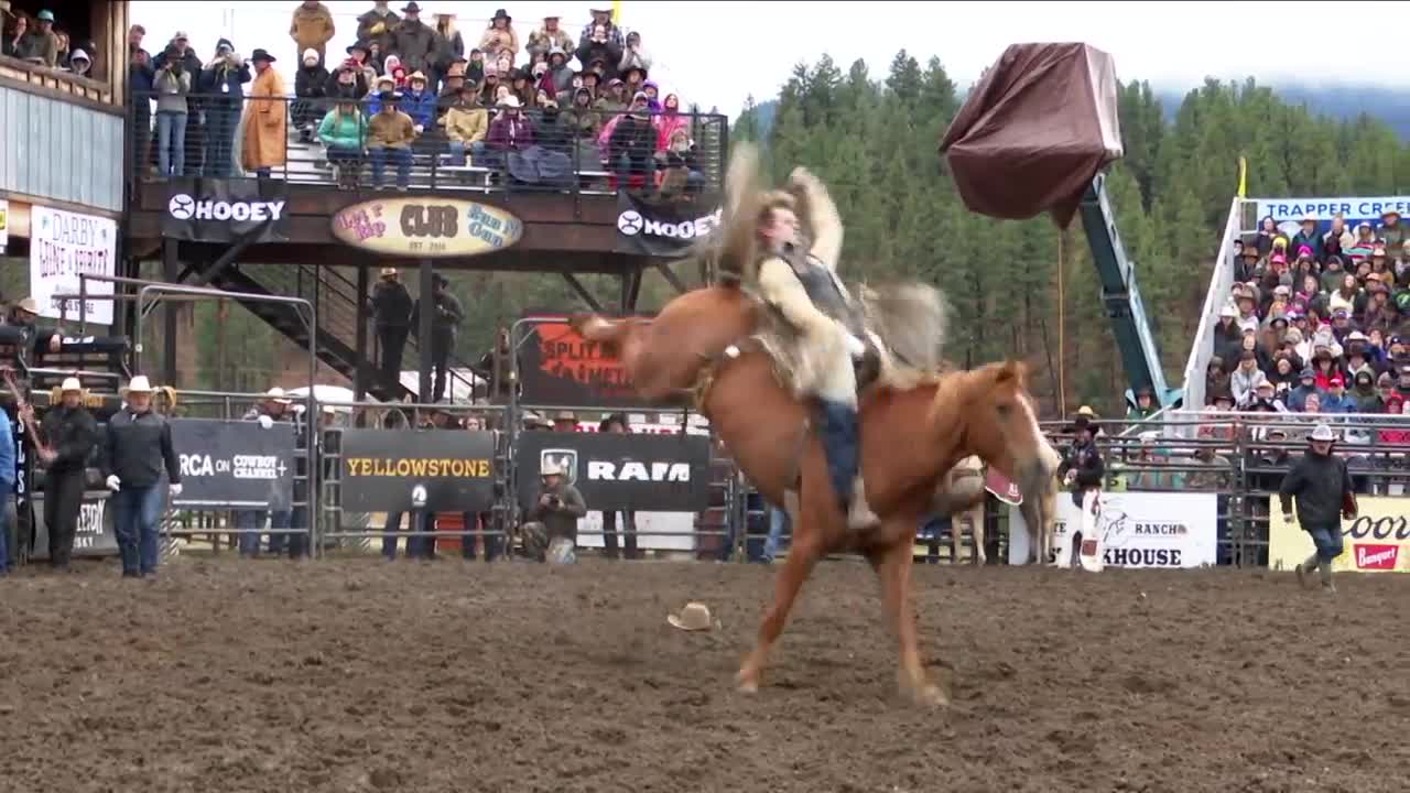 Darby Rodeo
