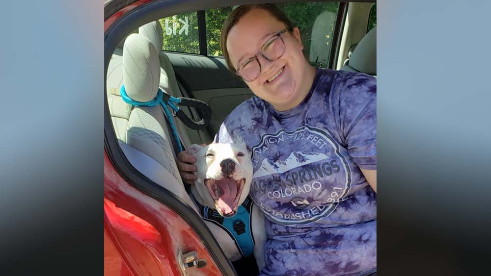 Jill the American Pit mix in Texas adopted  