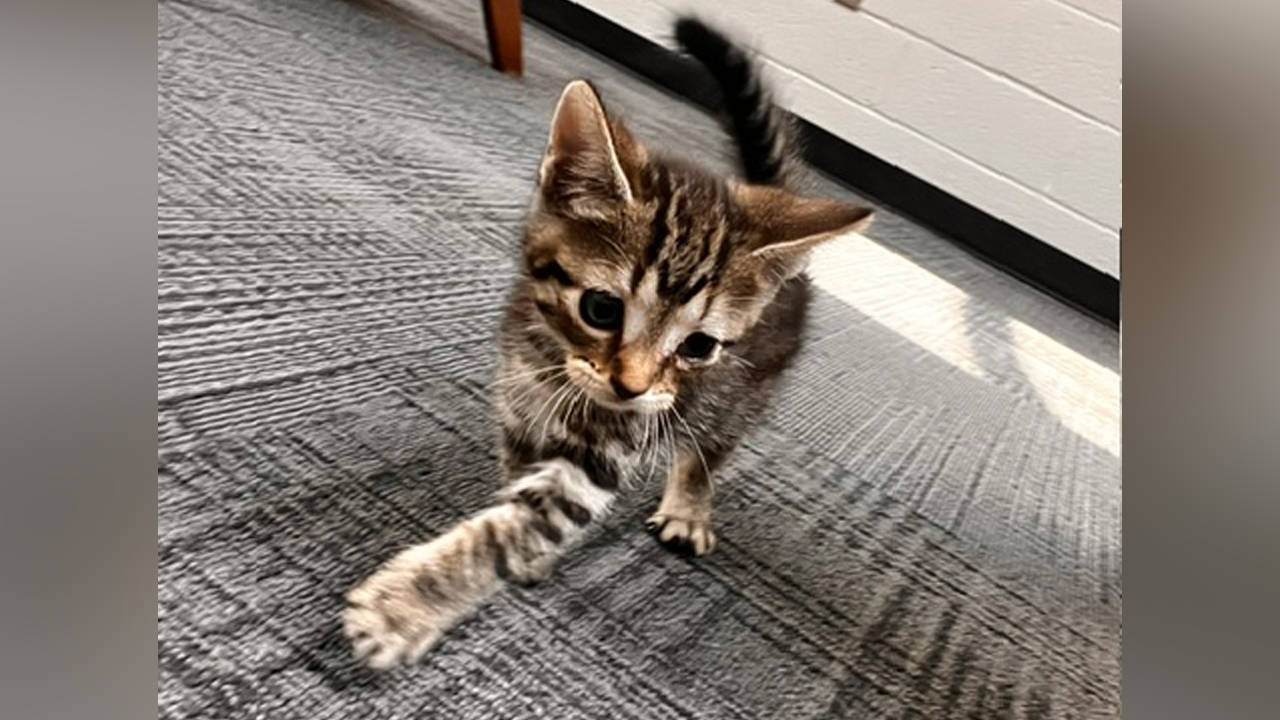 christopher harford county humane society 2