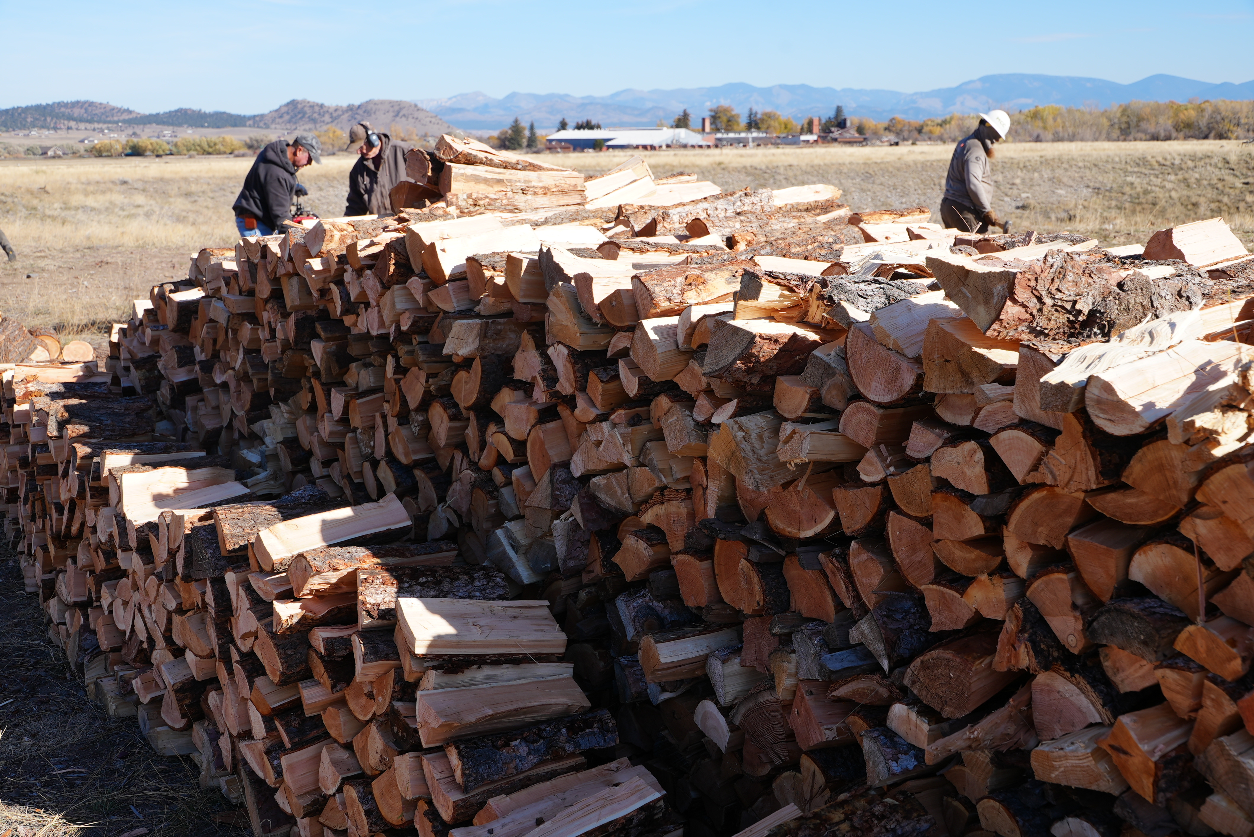 wood