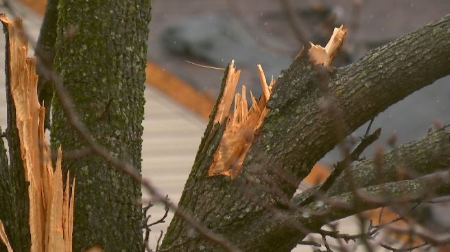 MADISON CO DAMAGE.JPG