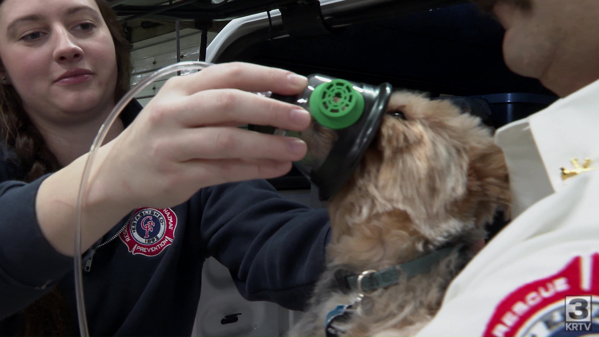 Oxygen masks help pets recover from smoke inhalation