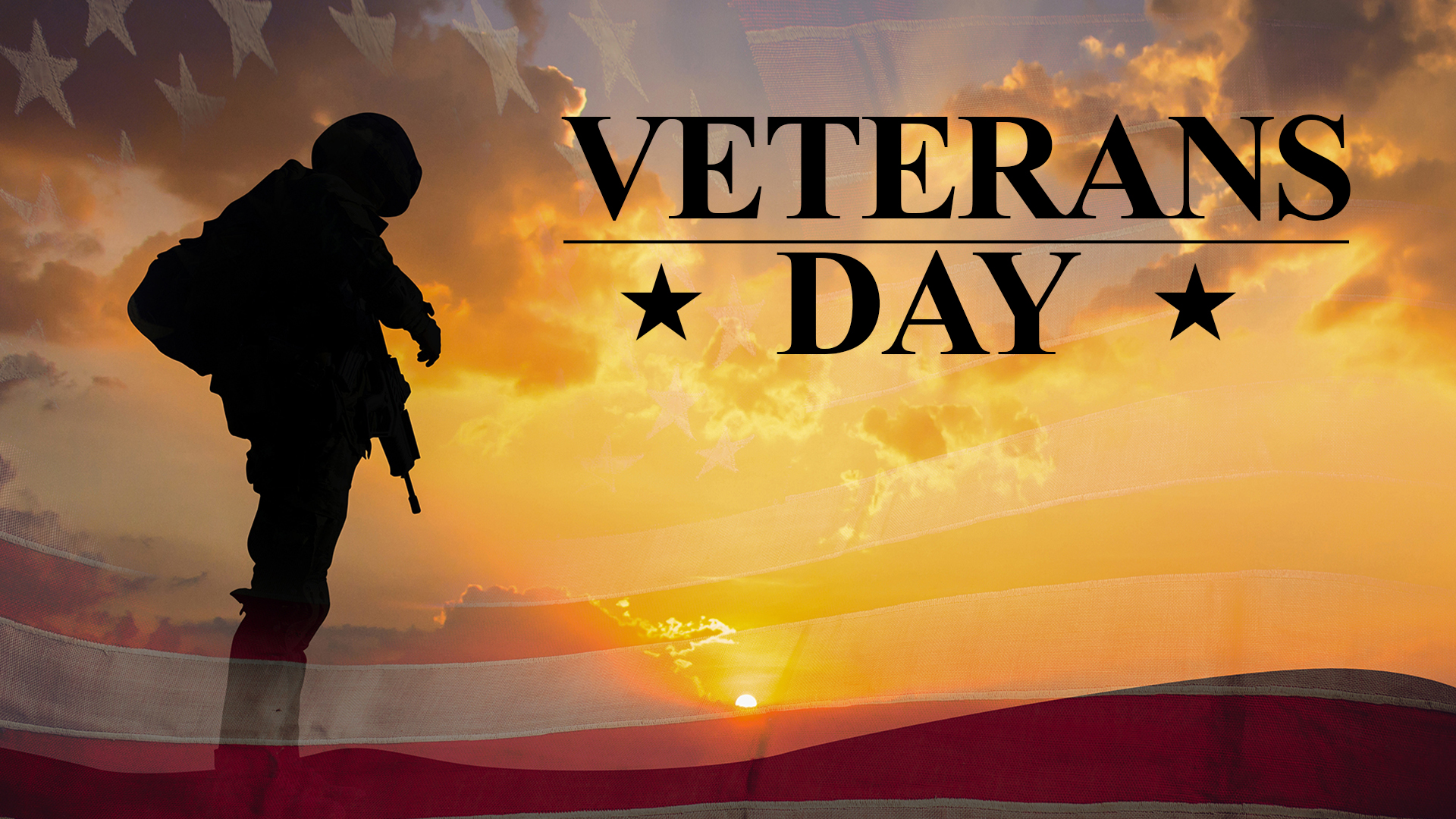 Veterans Day Graphic