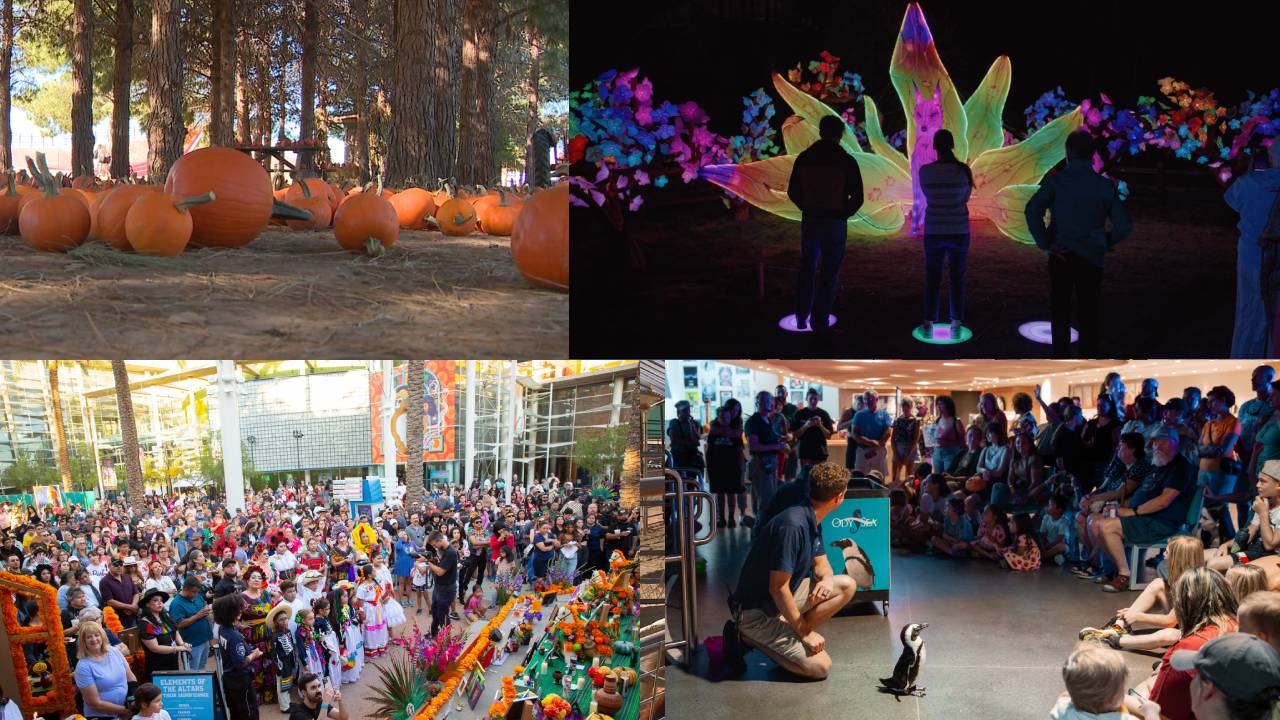 October offers fun activities such as Billy Moore Days, the Día de Los Muertos Festival, pumpkin patches, and more! 