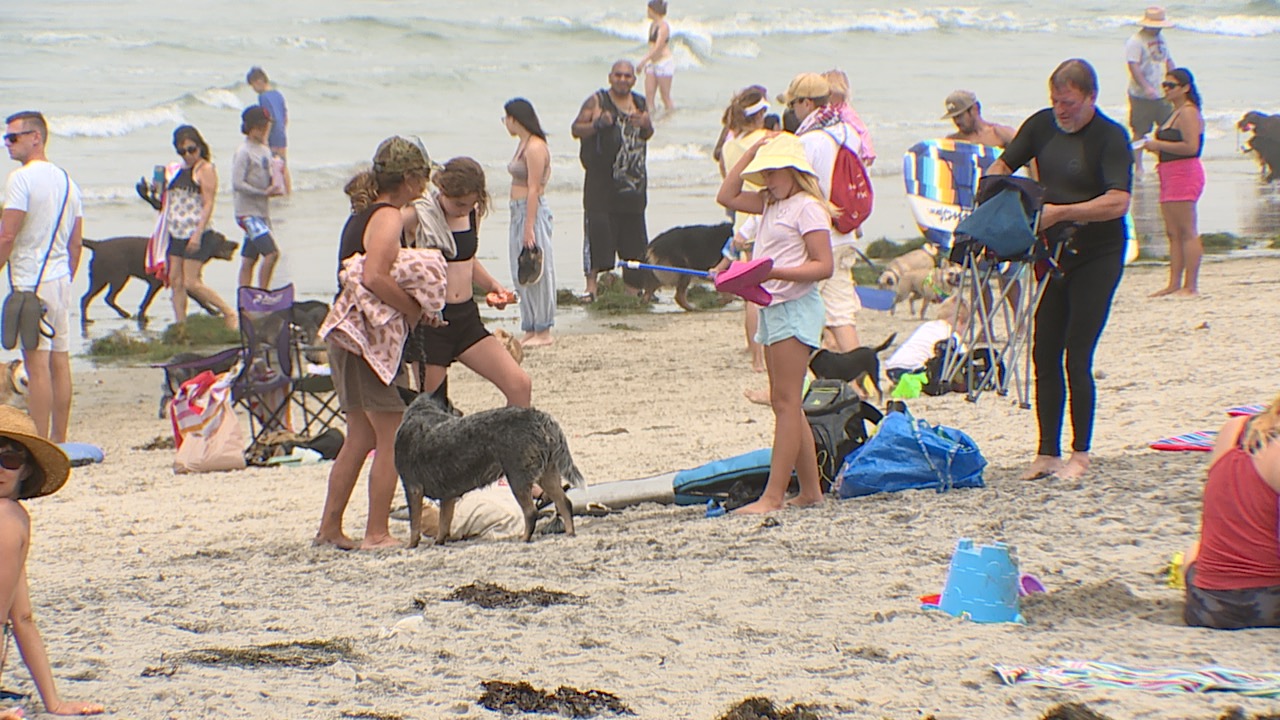 beach pic.jpg