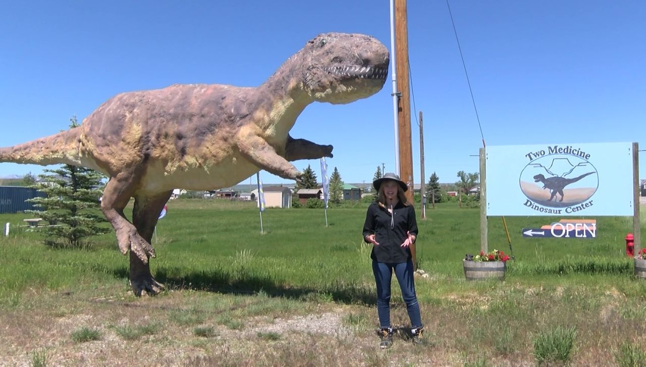 dinosuar.jpg