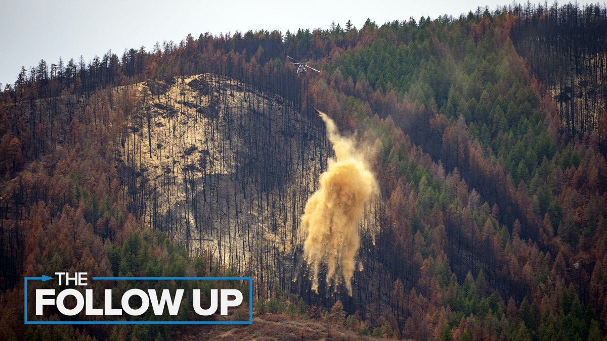 deer creek canyon fire reseeding TFU logo.jpg