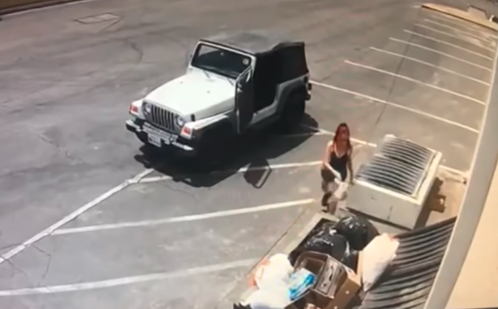 riverside county animal services woman suspected of dumping puppies