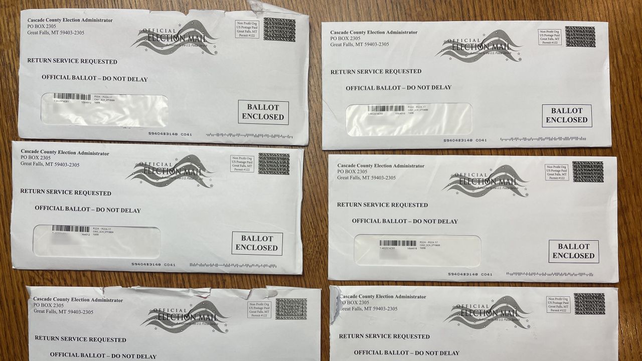 Duplicate Ballots.png