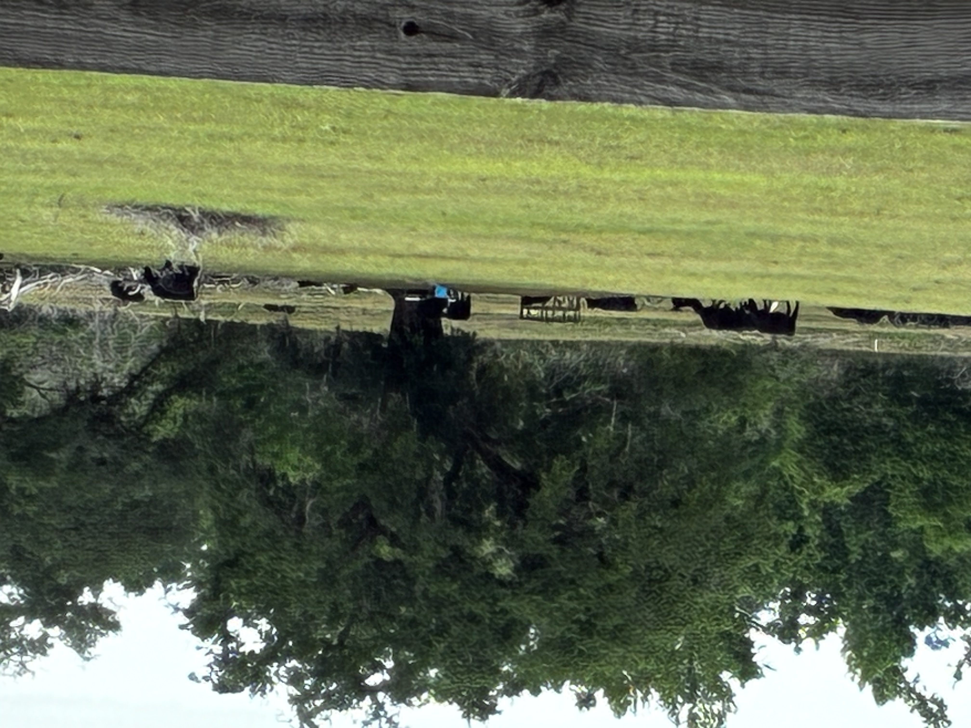 Madison County ranchers feel impact of drought as costs rise
