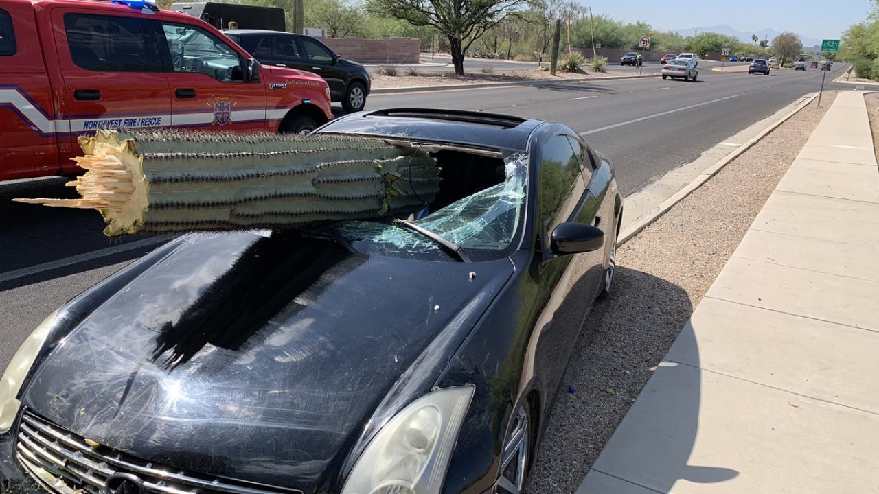wptv windshield saguaro .jpeg