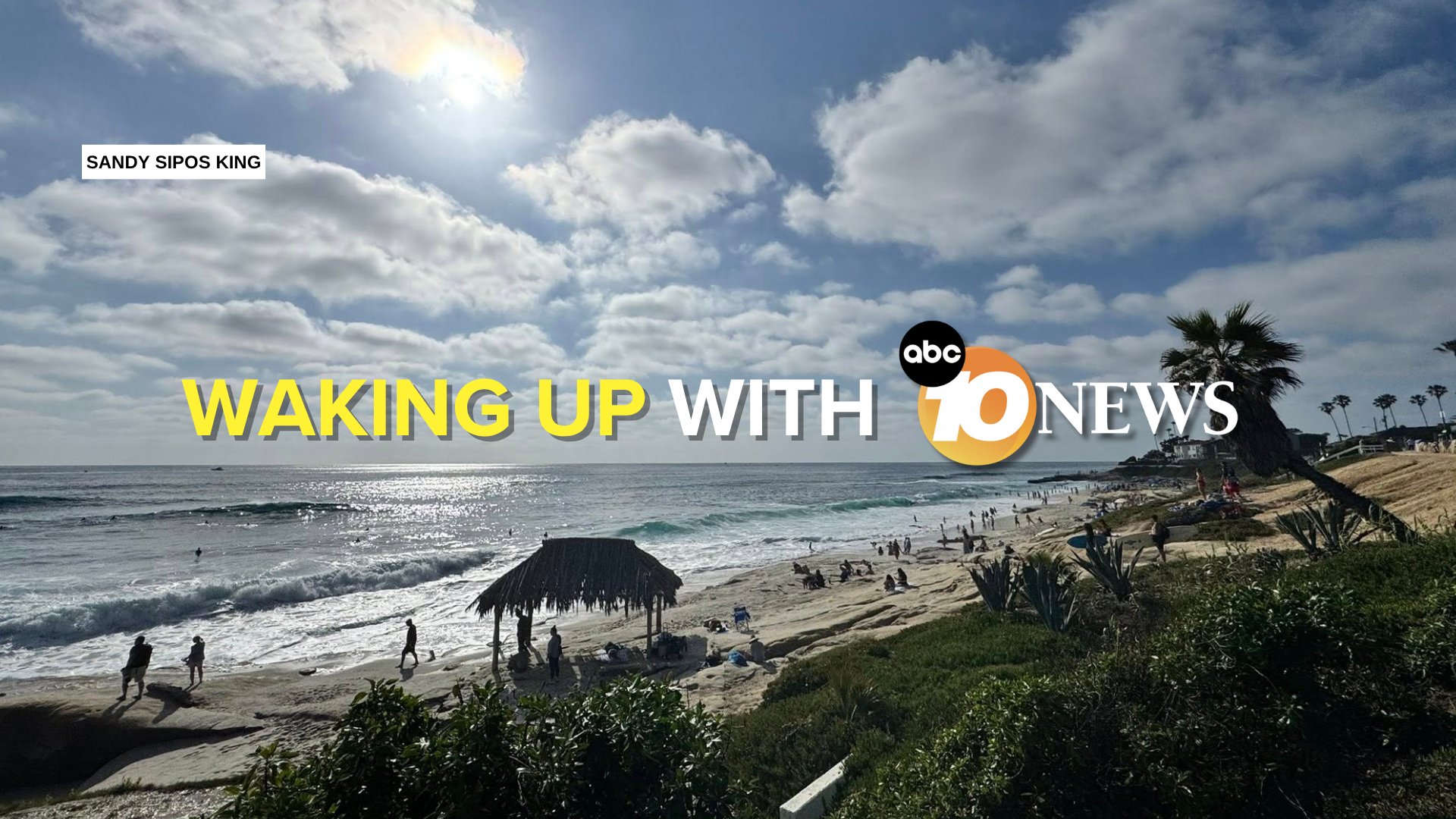 newsletter_sandy_sipos_king_la_jolla_061925.png