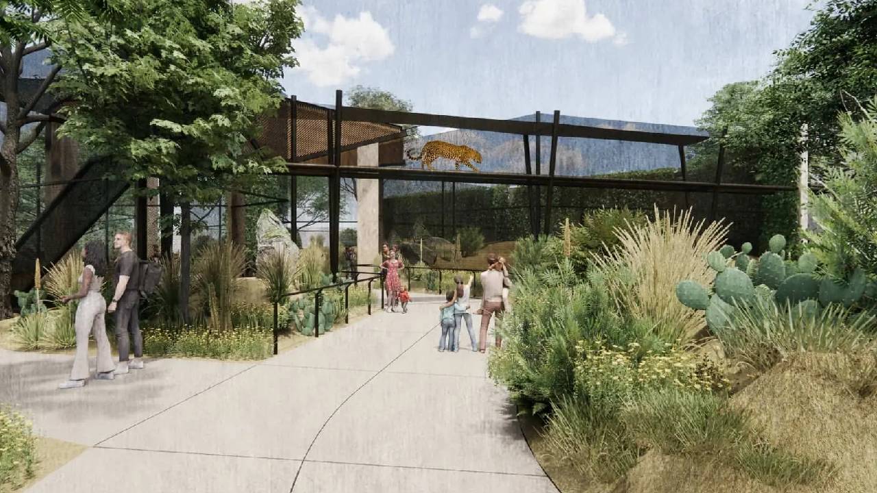 Rendering of Big Cats of Arizona: A Bridge to Arizona Wilderness