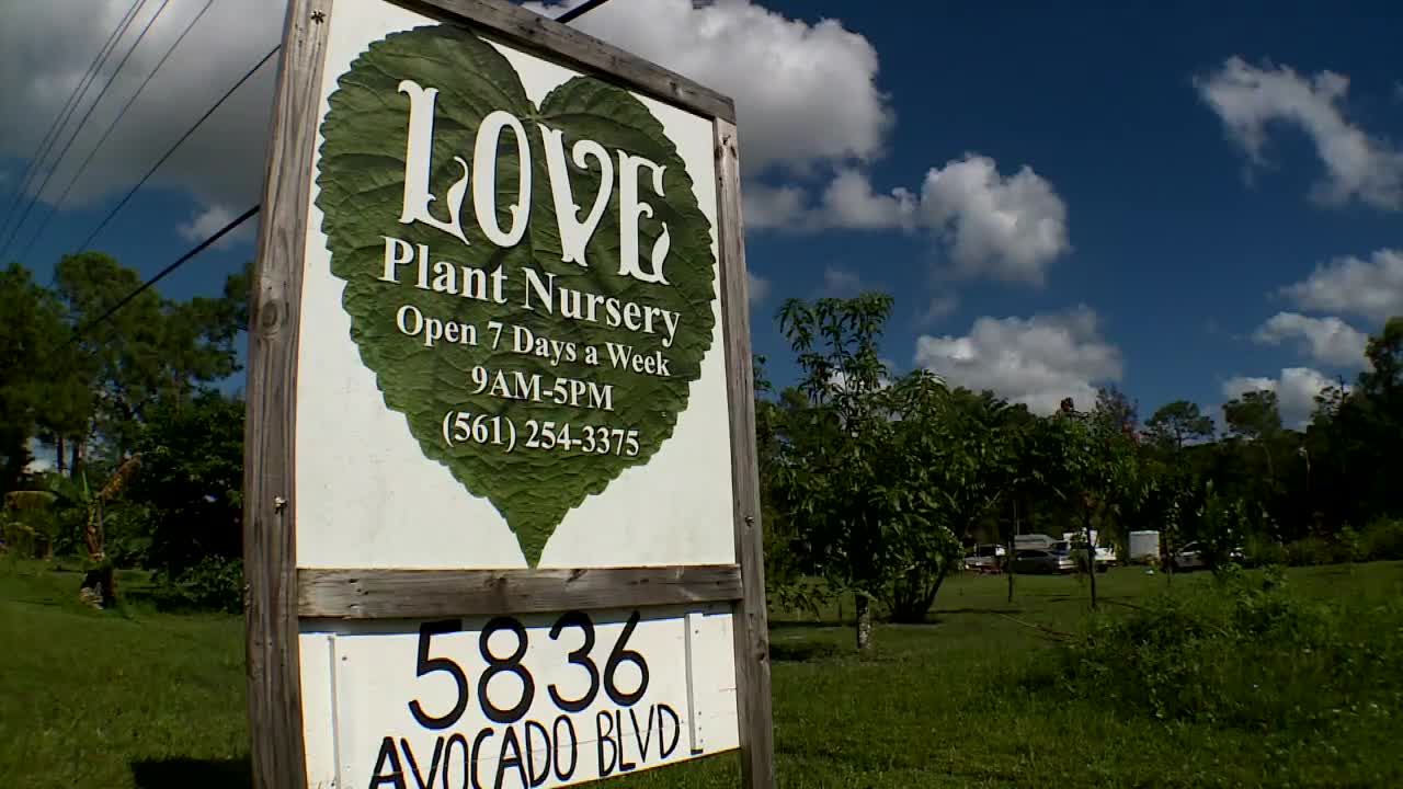 Love Plant Nursery targeted by imposter page on Facebook