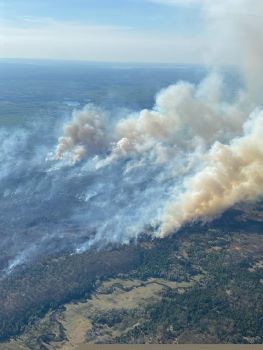 Northern Michigan Wildfire