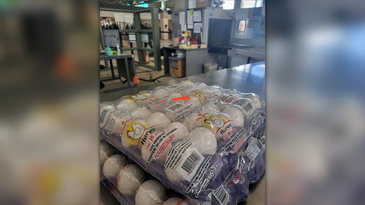 Eggs at border.png