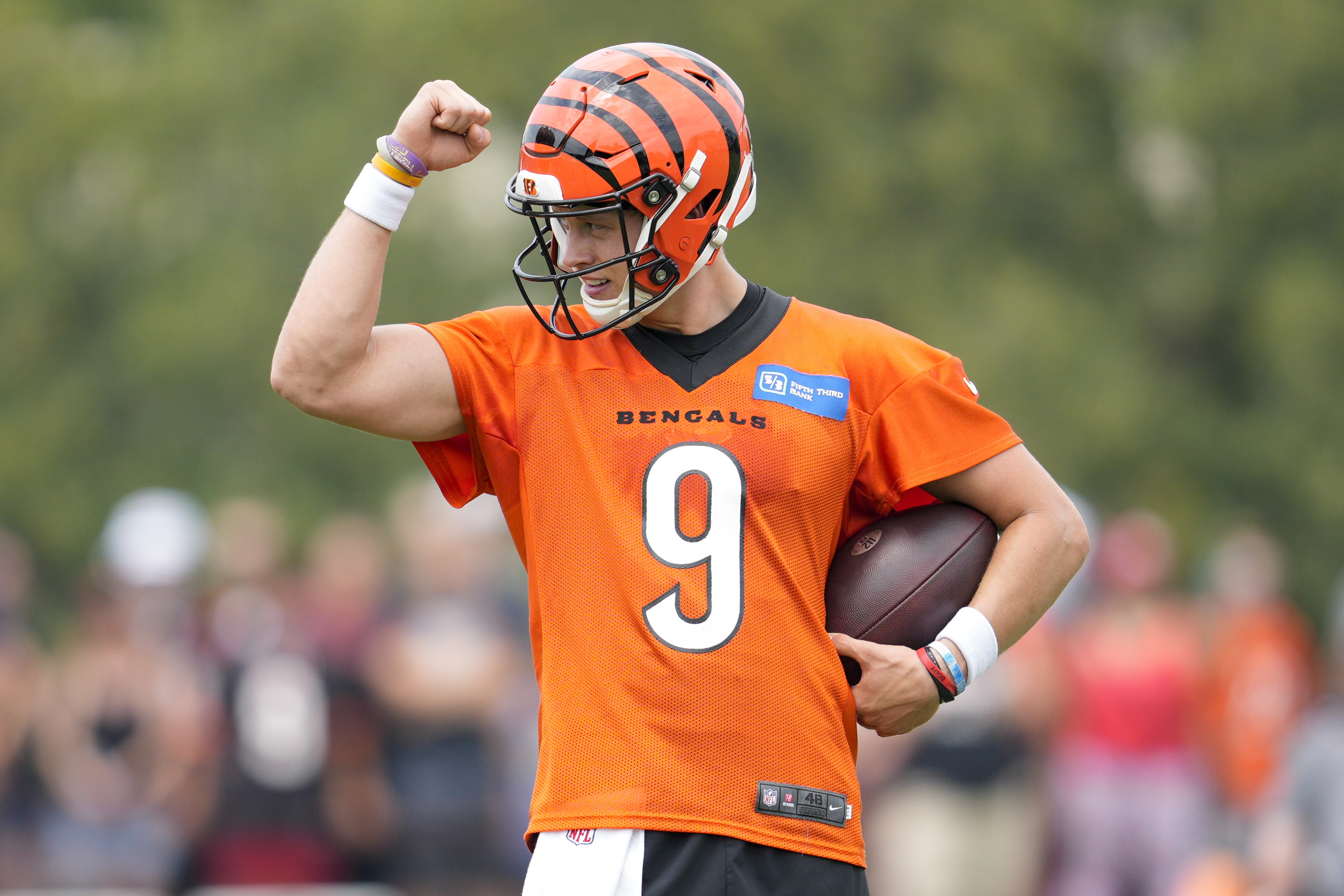 NFL Cincinnati Bengals 