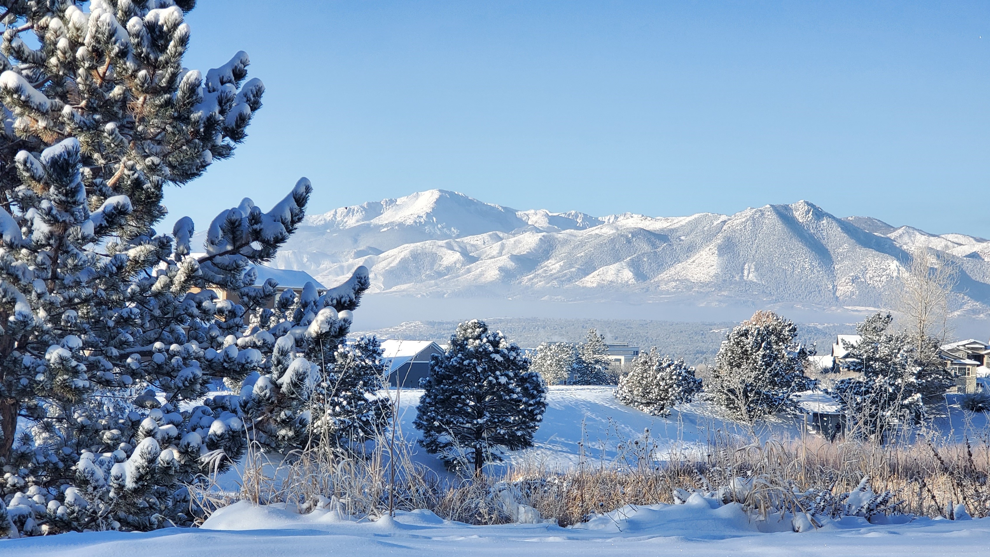 luis rodriguez colorado springs