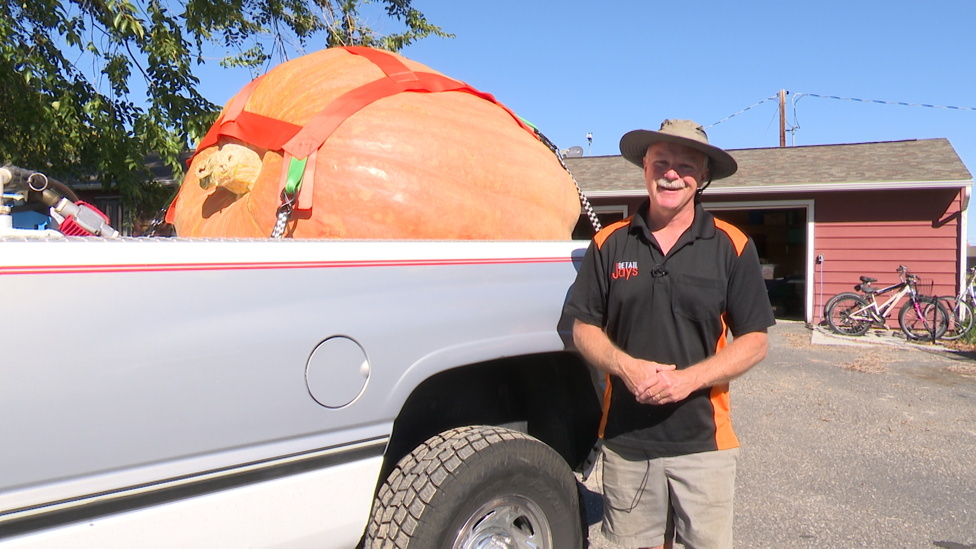 Extreme gardening: Wyoming man growing giant, winning pumpkins - Vimarsana News