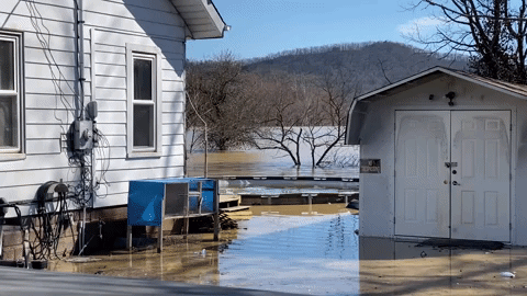 Animated GIF-downsized_large.gif