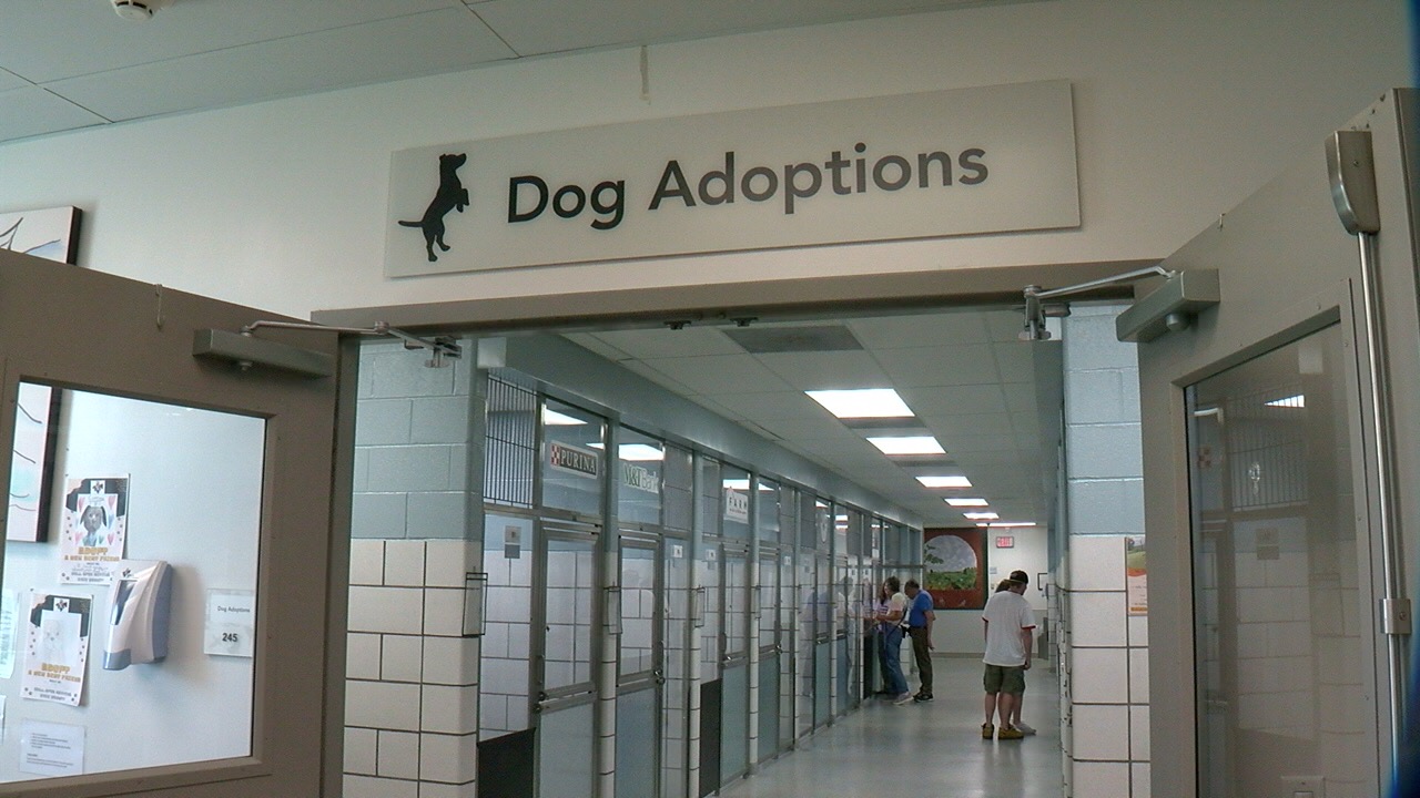 SPCA1.jpg