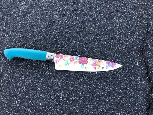 Knife recovered in Vista slow-speed chase