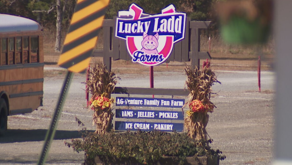 Lucky Ladd Farms
