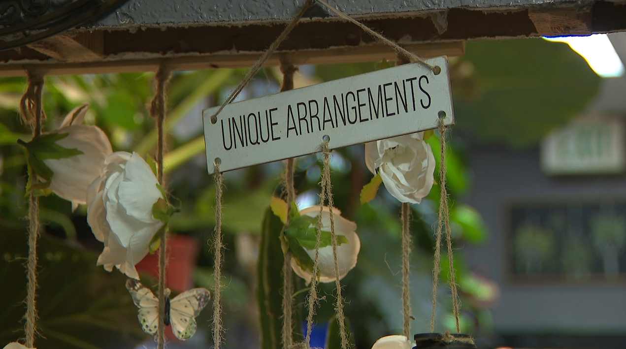 Growing together: Support group for moms pots plants in children's memory