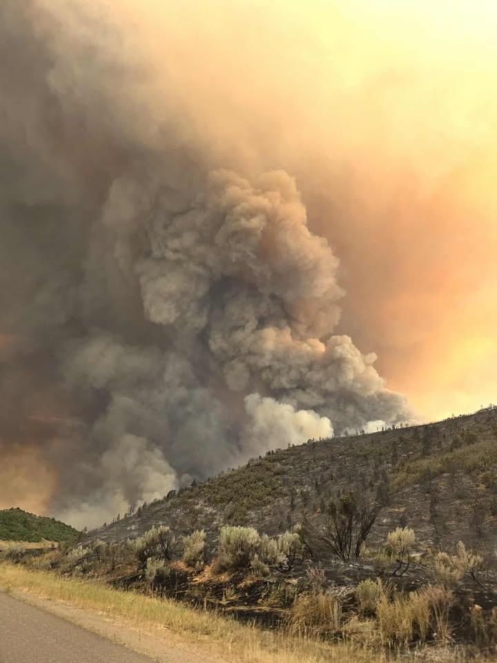 LEE FIRE_august 15 2025.jpg