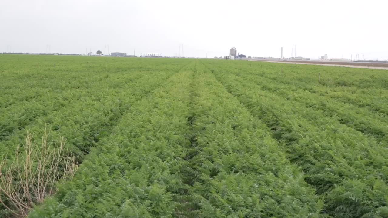 Economic issues plaguing farmers homegrown, not imported per farmers, ranchers