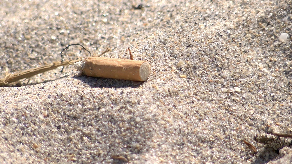 WPTV-CIGARETTE-BUTT-BEACH.jpg